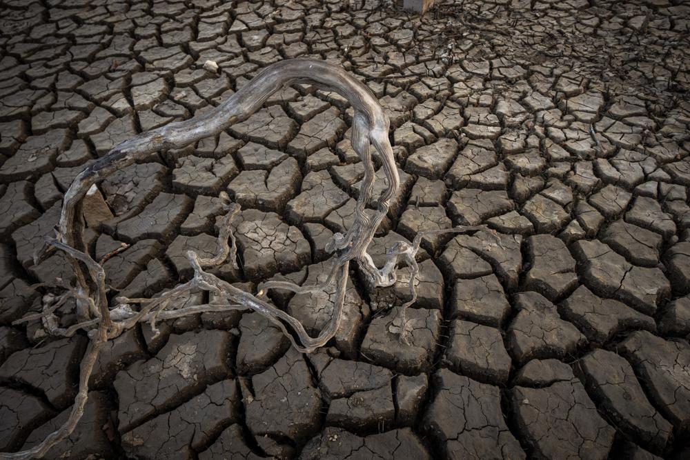 Dead roots lay on a cracked lake bed near the old village of Aceredo in northwestern Spain, Friday, 11 February 2022. The Spanish village of Aceredo, which was flooded in 1992 for the construction of a reservoir, has reemerged from the water during a severe drought in the area. Photo: Emilio Morenatti / AP Photo
