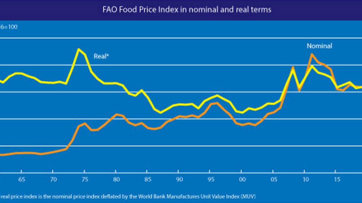FAO Food Price Index, January 1961 - February 2022. In February 2022, the FAO Food Price Index (FFPI), averaged 140.7 points, up 5.3 points (3.9 percent) from January and as much as 24.1 points (20.7 percent) above its level a year ago. This represents a new all-time high, exceeding the previous top of February 2011 by 3.1 points. The February rise was led by large increases in vegetable oil and dairy price sub-indices. Cereals and meat prices were also up, while the sugar price sub-index fell for the third consecutive month. Graphic: FAO