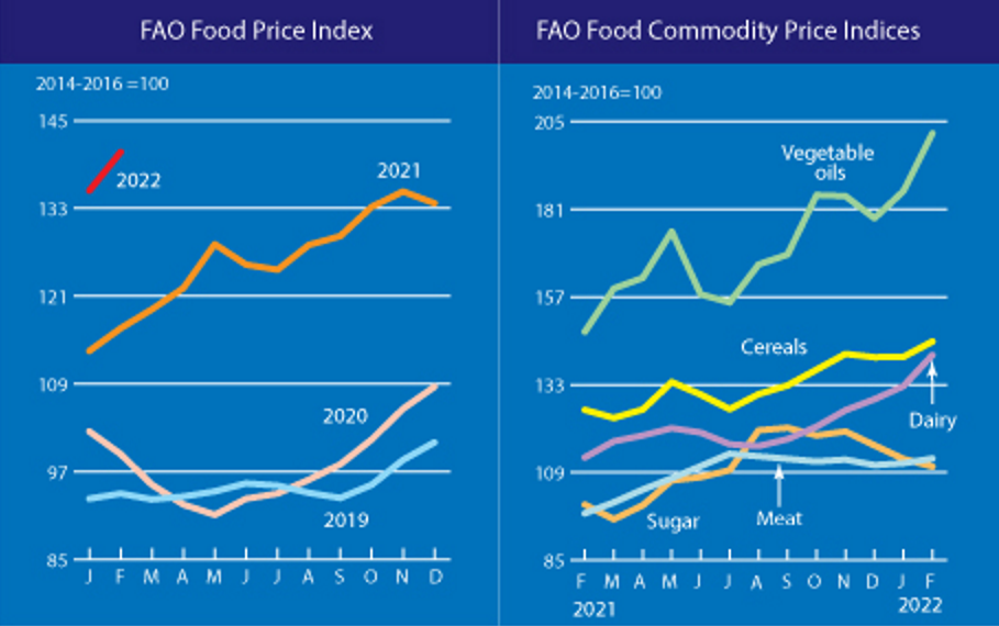 FAO Food Price Index (left) and FAO Food Commodity Price Indices (right), January 2021 - February 2022. Graphic: FAO