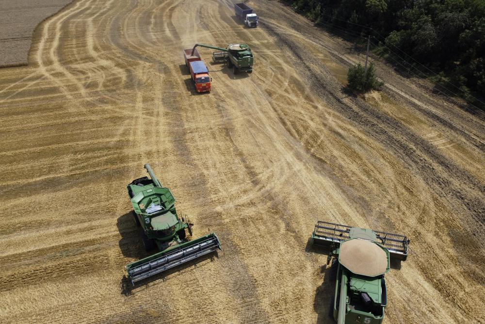 Farmers harvest with their combines in a wheat field near the village Tbilisskaya, Russia, 21 July 2021. The Russian tanks and missiles besieging Ukraine also are threatening the food supply and livelihoods of people in Europe, Africa and Asia who rely on the vast, fertile farmlands known as the “breadbasket of the world”. Russia and Ukraine combine for about a third of the world’s wheat and barley exports and provide large amounts of corn and cooking oils. Photo: Vitaly Timkiv / AP Photo