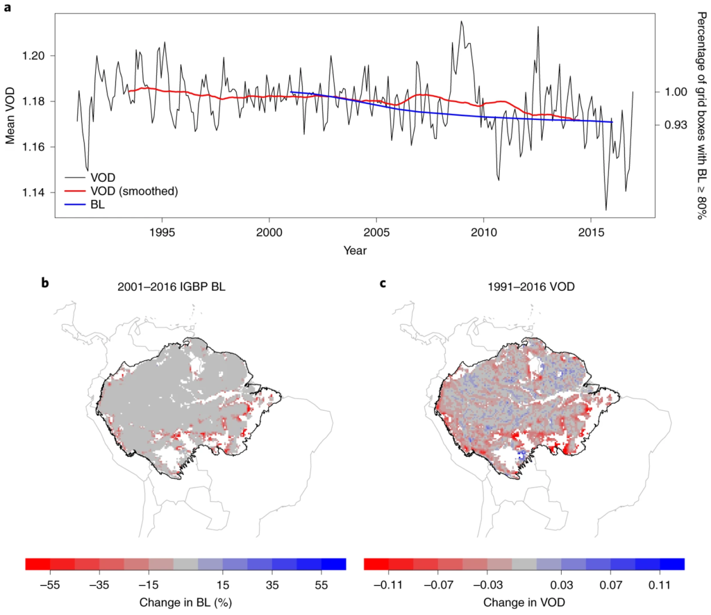 The relationship between broadleaf (BL) fraction and Vegetation Optical Depth (VOD) for the Amazon basin, 1991-2016. (a) Time series of MODIS Land Cover evergreen BL fraction and VODCA Ku-band product. Changes in BL fraction expressed as the percentage of grid cells that have BL fraction ≥80 percent in each year, compared to the number of grid cells that had BL fraction ≥80 percent in 2001, and VOD is the monthly mean. (b) Changes in the BL fraction from 2001 to 2016 for grid cells where the BL fraction is ≥80 percent in 2001. c, Changes in VOD from 1991 to 2016 (difference between the 2012–2016 and 1991–1995 means) for the grid cells where the BL fraction was ≥80 percent in 2001. Graphic: Boulton, et al., 2022 / Nature Climate Change