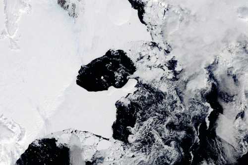 Satellite view of the Conger/Glenzer (Bowman Island) ice shelf collapse in March 2022. Scientists are concerned because the ice shelf collapsed in East Antarctica, an area that had long been thought to be stable. The collapse in March 2022 was the first time scientists have ever seen an ice shelf collapse in this cold area of Antarctica. Photo: NASA / AP