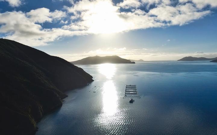 Aerial view of a salmon farm operated by New Zealand King Salmon. Photo: New Zealand King Salmon