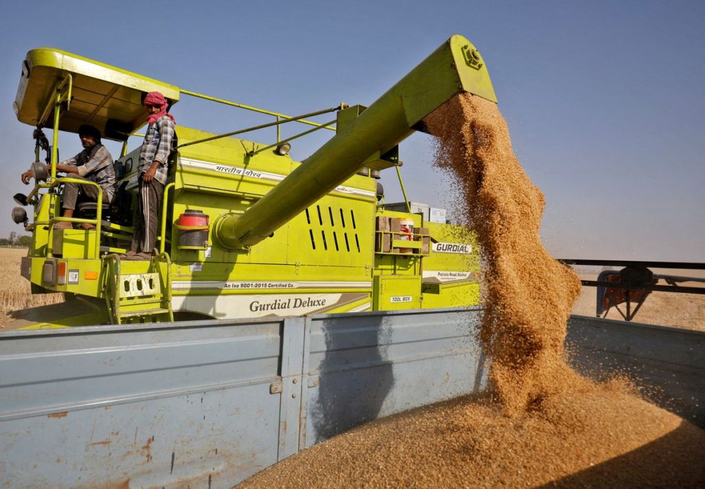 A combine deposits harvested wheat in a tractor trolley at a field on the outskirts of Ahmedabad, India, 16 March 2022 Photo: Amit Dave / REUTERS