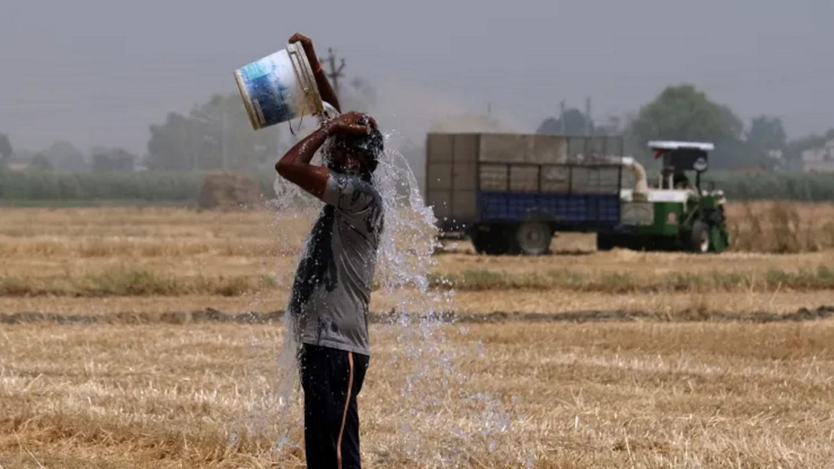 A farmer pours water on himself while working at a wheat farm in the Ludhiana district of Punjab, India, on Sunday, 1 May 2022. Photo: T. Narayan / Bloomberg / Getty Images