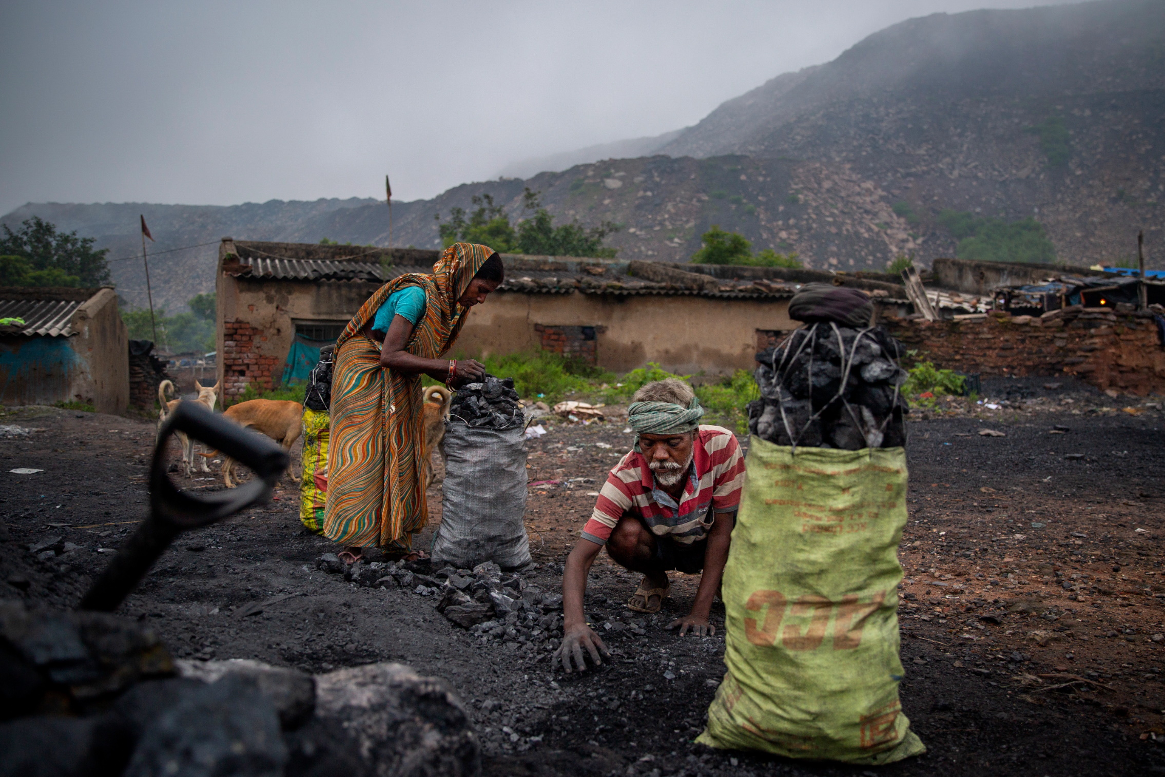 Naresh Chauhan, 50, and his wife Rina Devi, 45, fill sacks with coal in Dhanbad, an eastern Indian city in Jharkhand state. The two have lived in a village at the edge of the Jharia coalfield in Dhanbad all their lives. The couple earn $3 a day selling four baskets of scavenged coal to traders. Photo: Altaf Qadri / AP Photo