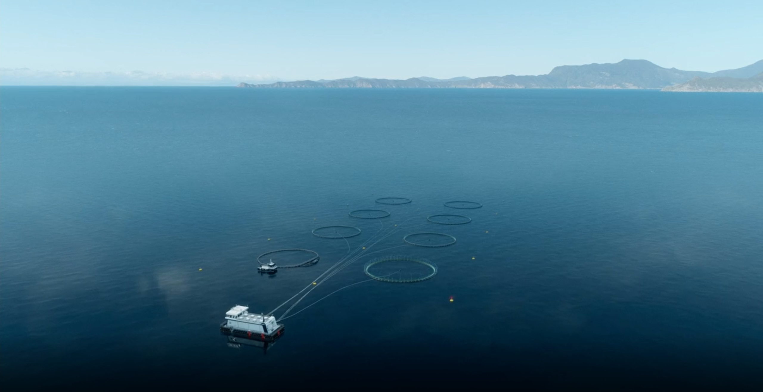 Screenshot of animation showing an aerial view of “Blue Endevaor”, an open-ocean farm proposal by New Zealand King Salmon. Photo: New Zealand King Salmon