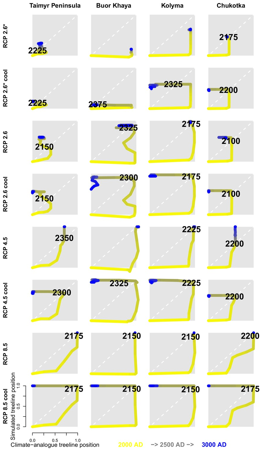 Treeline migration trajectories in four regions of Siberia, Taimyr Peninsula, Buor Khaya, Kolyma, and Chukotka. Numbers are the first year when the simulated treeline position is equal to or farther north than the modern climate-analogue position. Colour of line segments ranges from yellow for year 2000 to blue in 300 CE. Graphic: Kruse and Herzschuh, 2022 / eLife