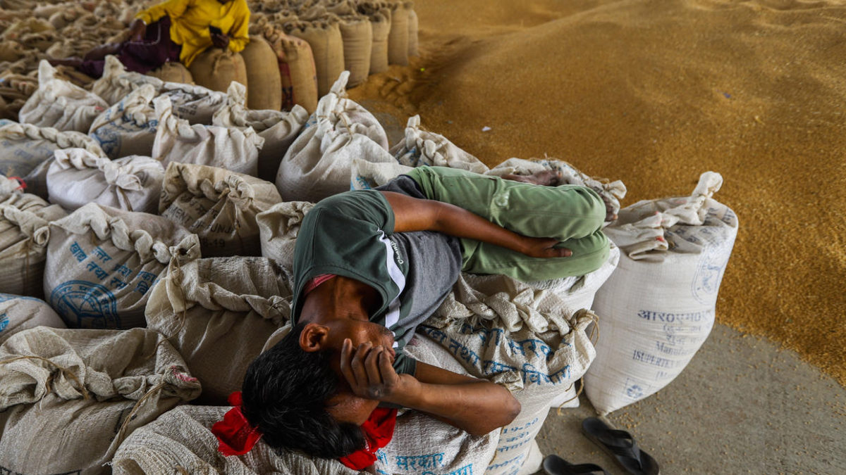 A worker rests on sacks of processed wheat at a wholesale grain market in New Delhi, India, 17 May 2022. Photo: Amarjeet Kumar Singh / ANADOLU AGENCY / GETTY