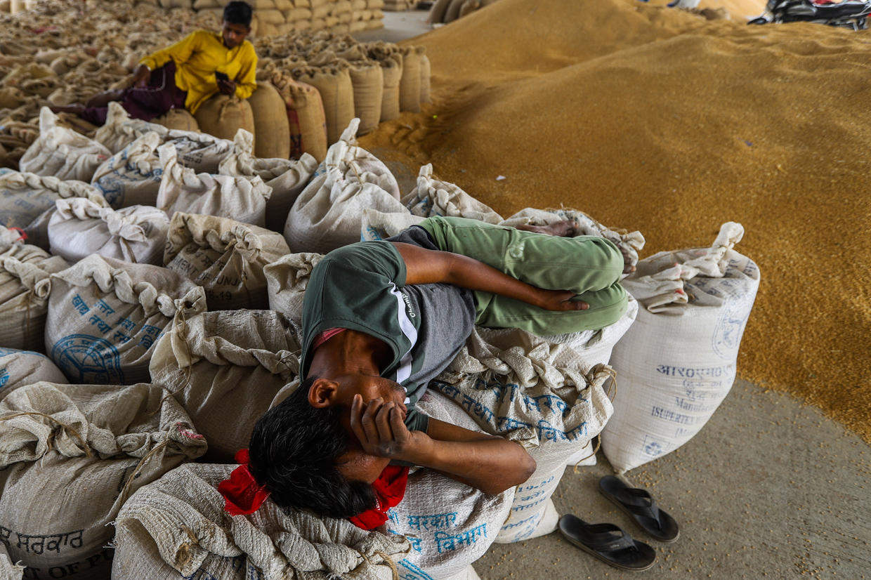 A worker rests on sacks of processed wheat at a wholesale grain market in New Delhi, India, 17 May 2022. Photo: Amarjeet Kumar Singh / ANADOLU AGENCY / GETTY
