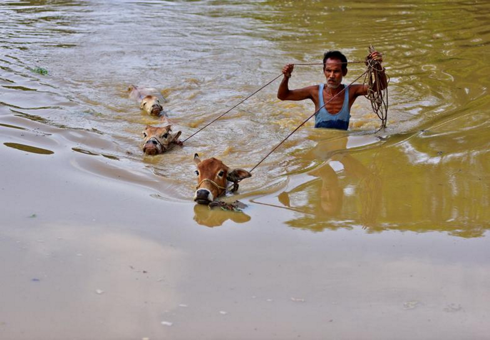 A flood-affected man moves his cattle to a safer place through a flooded field after heavy rains in Nagaon district, Assam, India, 21 June 2022. Photo: Anuwar Hazarika / REUTERS