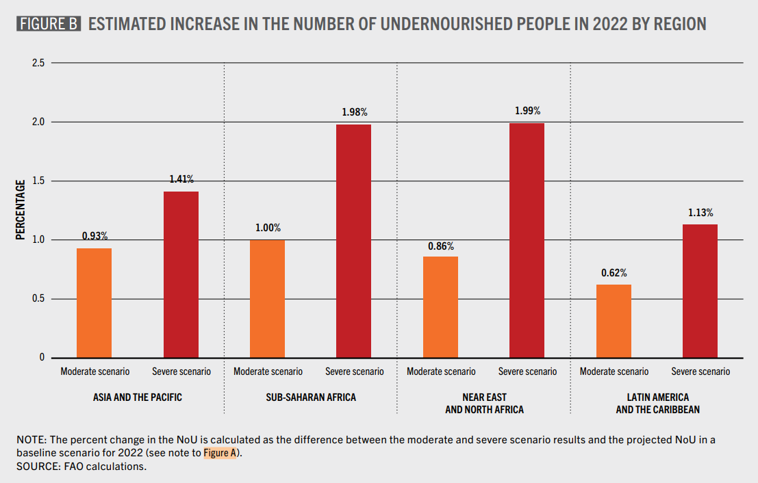 Estimated increase in the number of undernourished people in 2022 caused by the Russian invasion of Ukraine. From a regional perspective, vulnerable populations in sub-Saharan Africa and the Near East and North Africa are the most at risk of increased undernourishment due to the invasion. The low-income level, associated with the high shares of food expenditure in sub-Saharan Africa, and the particularly high dependency of the Near East and North Africa diets on imported wheat, especially from Ukraine and the Russian Federation, make poor consumers extremely vulnerable to wheat, maize, and vegetable oil price shocks. Graphic: FAO