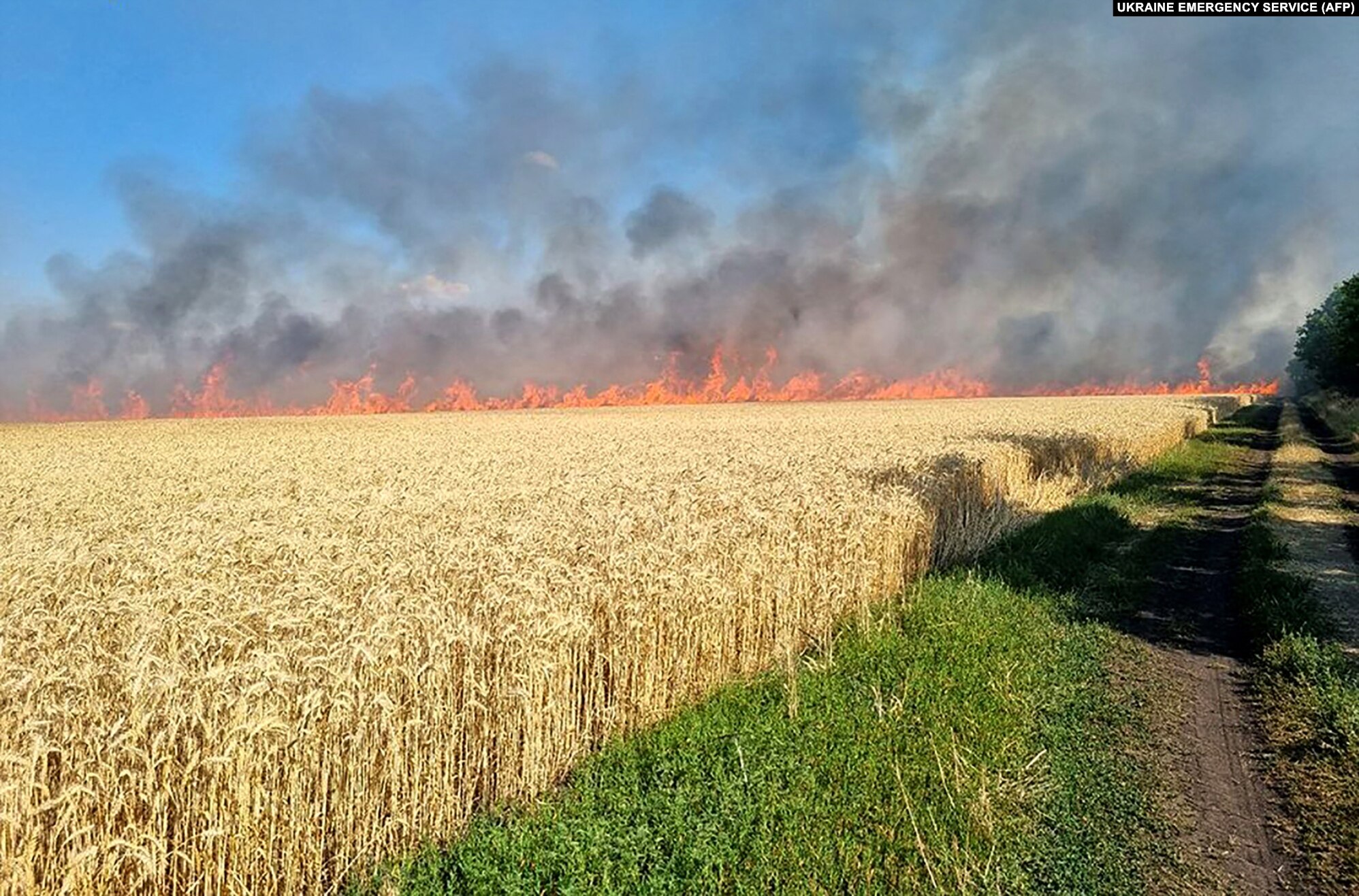 A line of fire blazes through a wheat field in the Mykolayiv region on 17 July 2022. Such fires have become increasingly common as the summer sun bakes Ukraine’s wheat-growing plains dry. Photo: Ukraine Emergency Service / AFP