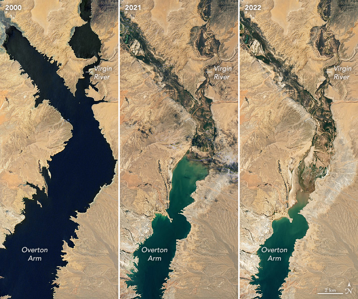 Satellite view of Lake Mead in July 2000, 2021, and 2022. Data: Landsat data from the U.S. Geological Survey. Photo: Lauren Dauphin / NASA Earth Observatory