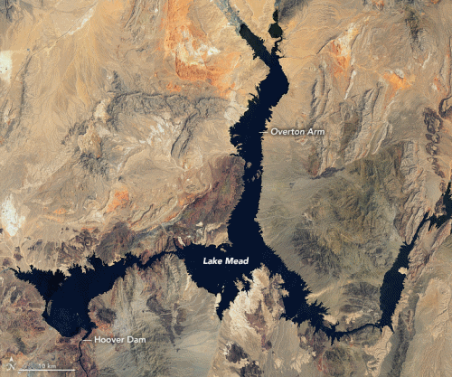 Satellite view of Lake Mead on 6 July 2000 and 3 July 2022. Data: Landsat data from the U.S. Geological Survey. Photo: Lauren Dauphin / NASA Earth Observatory
