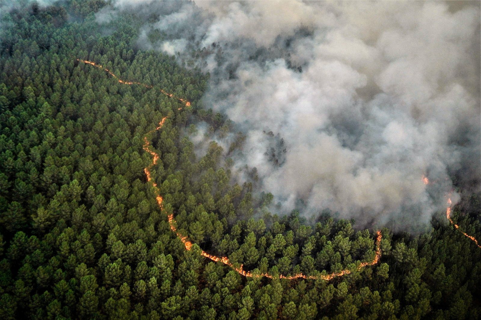 Aerial view of a wildfire burning, near Hostens, as wildfires continue to spread in the Gironde region of southwestern France on 12 August 2022. Photo: SDIS 33 / REUTERS