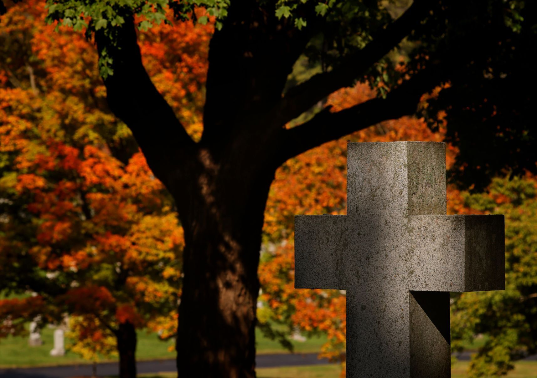 The grave marker of Matthew and Catherine King, who died in 1932 and 1947 respectively, catches broken light on Wednesday, 27 October 2021, against turning leaves at Calvary Cemetery in St. Louis, signaling the Autumn season. Photo: Christian Gooden / St. Louis Post-Dispatch