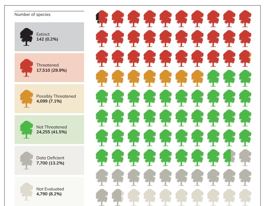 The conservation status of the world’s 58,497 tree species in 2022. Graphic: BGCI