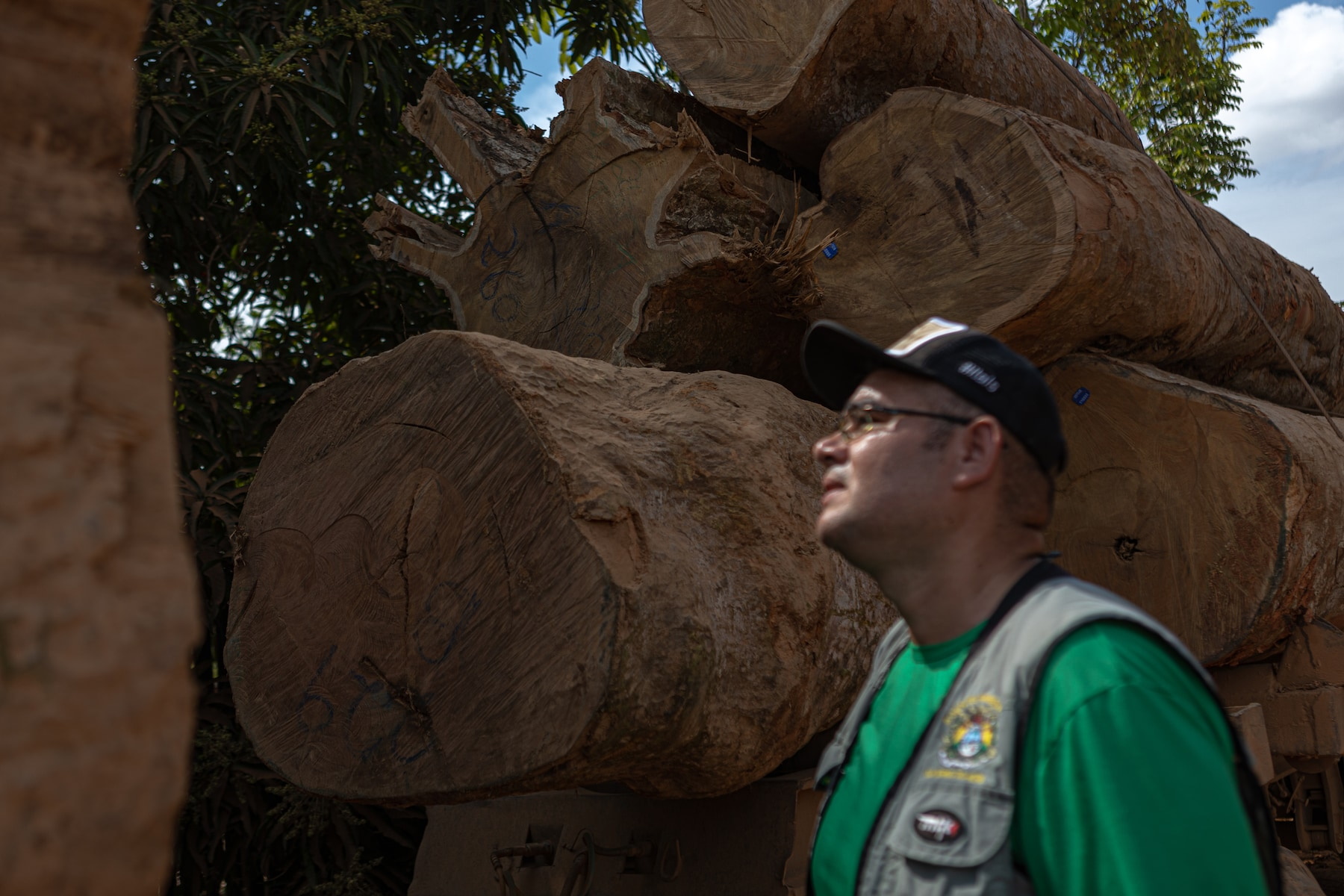 Daniel Valle, an inspector with the Acre Environmental Institute, examines a truckload of logs on 14 July 2022. The logs have a stamp that supposedly proves their legality by showing they were cut under a management plan. Photo: Rafael Vilela / The Washington Post