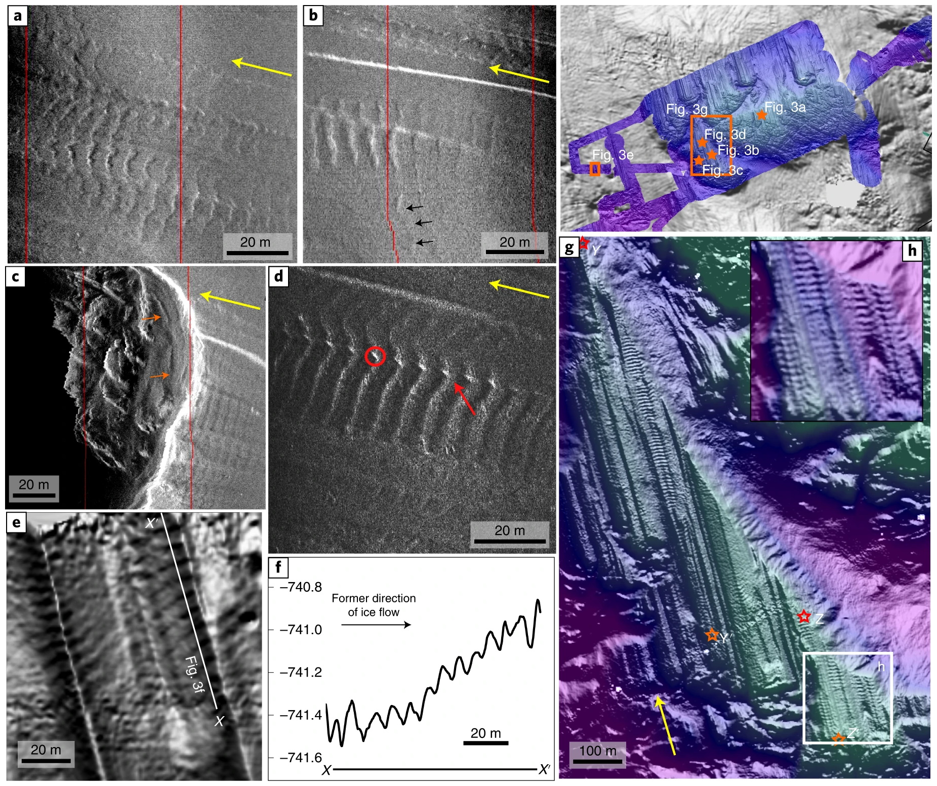 Details of Thwaites Glacier sea-floor ribs on high-resolution AUV sidescan and multibeam data. a–d, Examples of high-frequency sidescan imagery illustrating the back-stepping conformity of ridge shape (a), non-alignment of ribs to underlying lineations (b), rib formation on terraces (c) and the ‘beading’ (red circle) and overprinting (red arrow) of existing subglacial features (d). e, Multibeam hillshade showing fine-scale landforms, <20 cm high, crossing lineation ridges and grooves. f, Corresponding profile X–X′, demonstrating the subtle geometries of some of the landforms (5–20 cm) and their surprising depth (>740 m). g,h, Multibeam swath bathymetry covering the longest series of ribs (profile Y–Y′ and Z–Z′ combined; stars mark start and end of profile sections). Inset shows close-up example of lateral continuity in the southern portion of the ribs. Black arrows in ‘b’ mark lateral continuation of one oblique ridge. Yellow arrows in each image show ice flow direction inferred from lineations. Graphic: Graham, et al., 2022 / Nature Geoscience