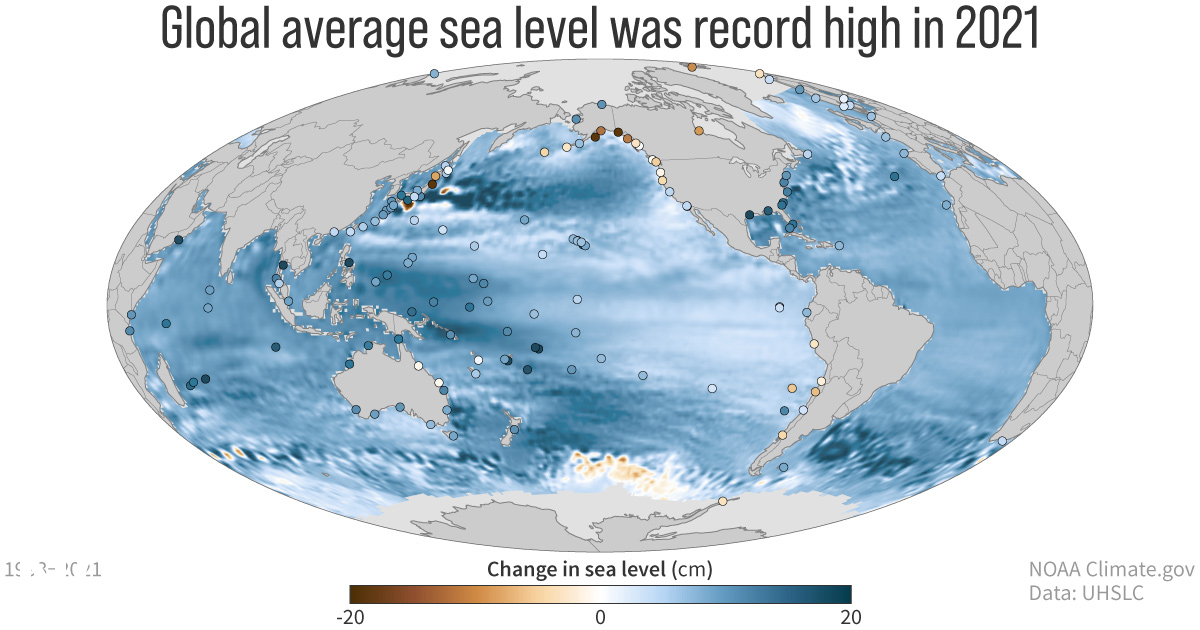 Changes in global average sea level (background map) and local sea level (dots) between 1993 and 2021. In the global ocean, sea level has risen nearly everywhere (blue). Coastal areas where sea level has fallen (brown) are places where the land is rising as it rebounds from being compressed by ice sheets and glaciers during the last ice age. NOAA Climate.gov map, based on data from University of Hawaii Sea Level Center. Graphic: NOAA