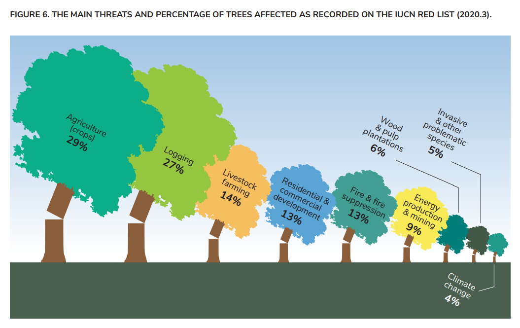 Ihe main threats and percentage of trees affected as recorded on the IUCN Red List (2020.3). Graphic: BGCI