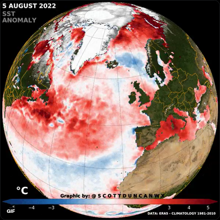 Sea surface temperature anomaly for the Atlantic Ocean, 5 August 2022. Graphic: Scott Duncan
