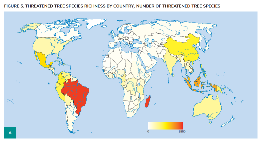 Threatened tree species richness by country in 2022, number of threatened tree species. Graphic: BGCI