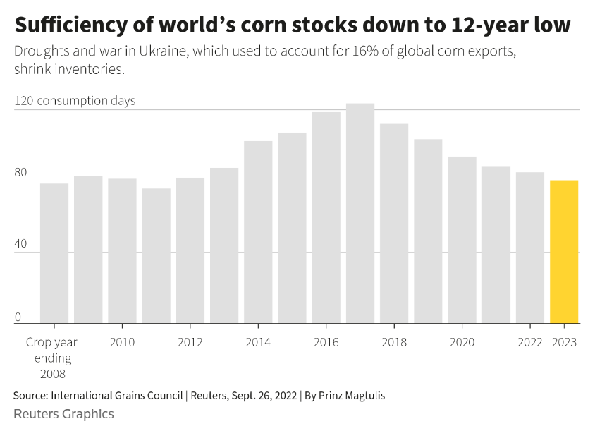 World corn stocks in consumption days, 2008-2022 and projected to 2023. Poor weather in key agricultural regions from the United States to France and China is shrinking grain harvests and cutting inventories, heightening the risk of famine in some of the world's poorest nations. Data: International Grains Council. Graphic: Prinz Magtulis / Reuters