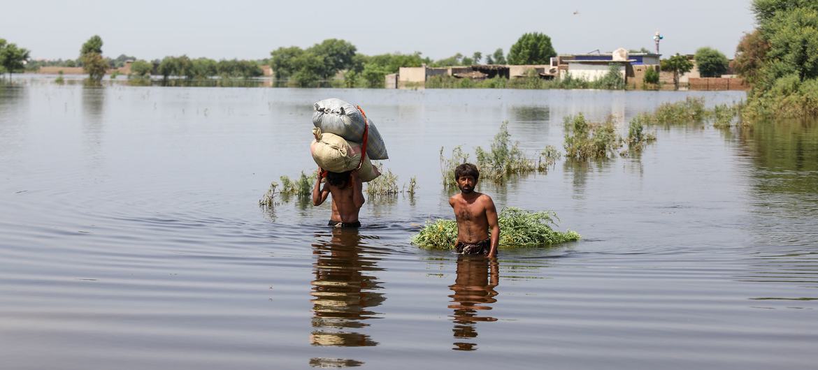 Men haul loads through floodwaters in a flooded village in Matiari, in the Sindh province of Pakistan. Photo: Asad Zaidi / UNICEF