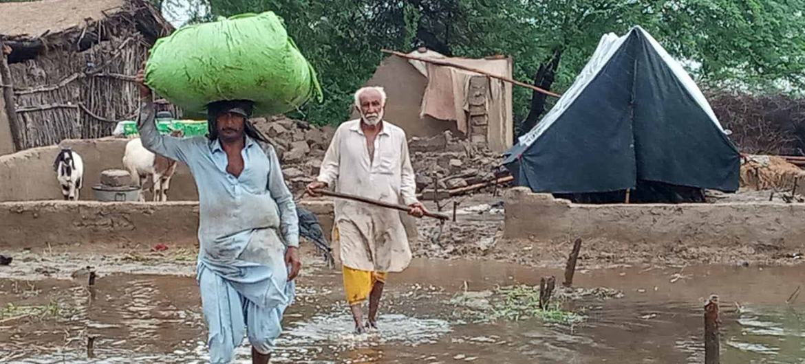 WFP is on the ground in Sanghar, Sindh, registering those affected by the severe floods for food distribution. Photo: Kapil Dev / WFP