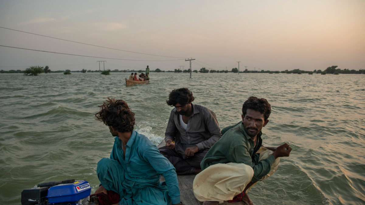 Boat operators, who have come from miles around to work as ferrymen in submerged areas, use power lines as navigation landmarks in Dadu, Pakistan, on Tuesday, 13 September 2022. They have become a lifeline for residents who are trying to save the livestock and belongings that were not washed away by floodwaters. Photo: Kiana Hayeri / The New York Times