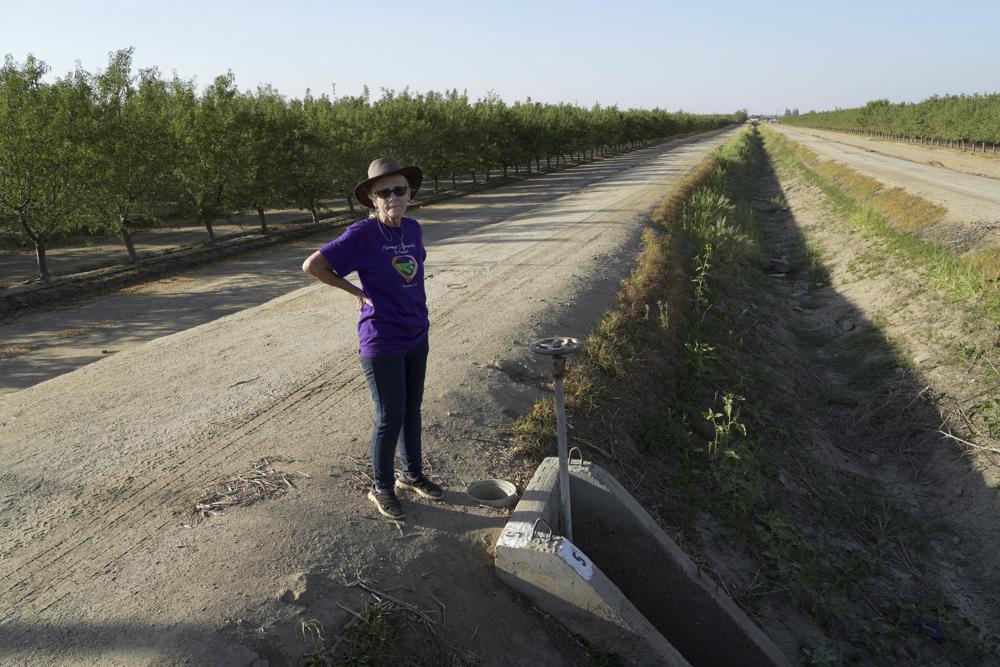 Elaine Moore stands next to a dry irrigation canal and almond orchard near her property, where two wells have gone dry this summer in Chowchilla, California, 14 September 2022. Amid a megadrought plaguing the American West, more rural communities are losing access to groundwater as heavy pumping depletes underground aquifers that aren’t being replenished by rain and snow. Photo: AP Photo / Terry Chea