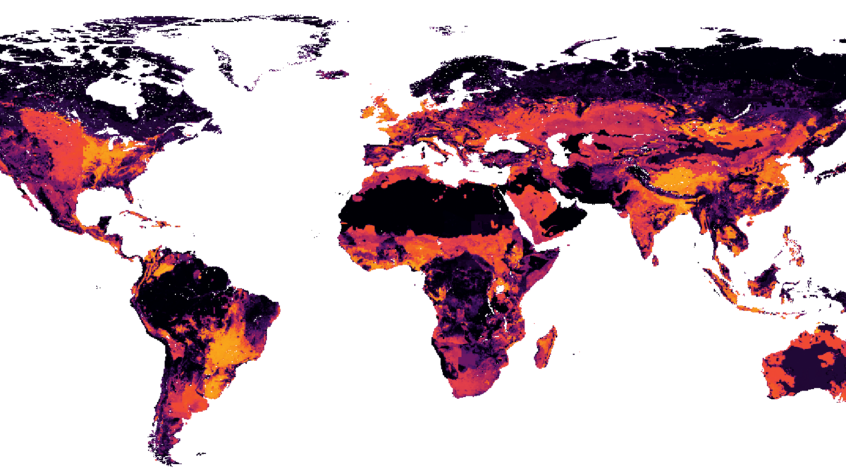 Map showing Biodiversity Intactness Index for the year 2020 at 0.25° resolution. The global average is 77 percent. Data: Natural History Museum, 2022. Graphic: WWF / ZSL