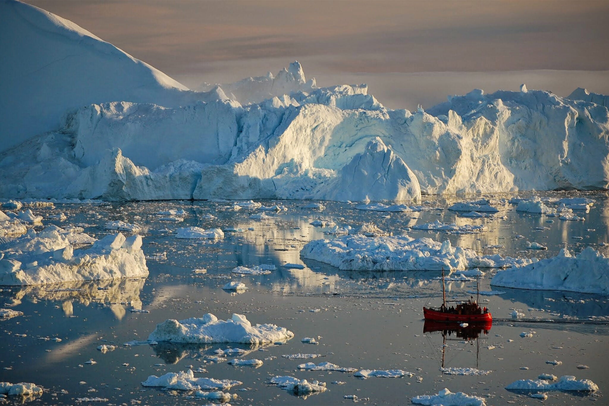 Icebergs in Disko Bay, Greenland. Photo: Matthew Hoffman