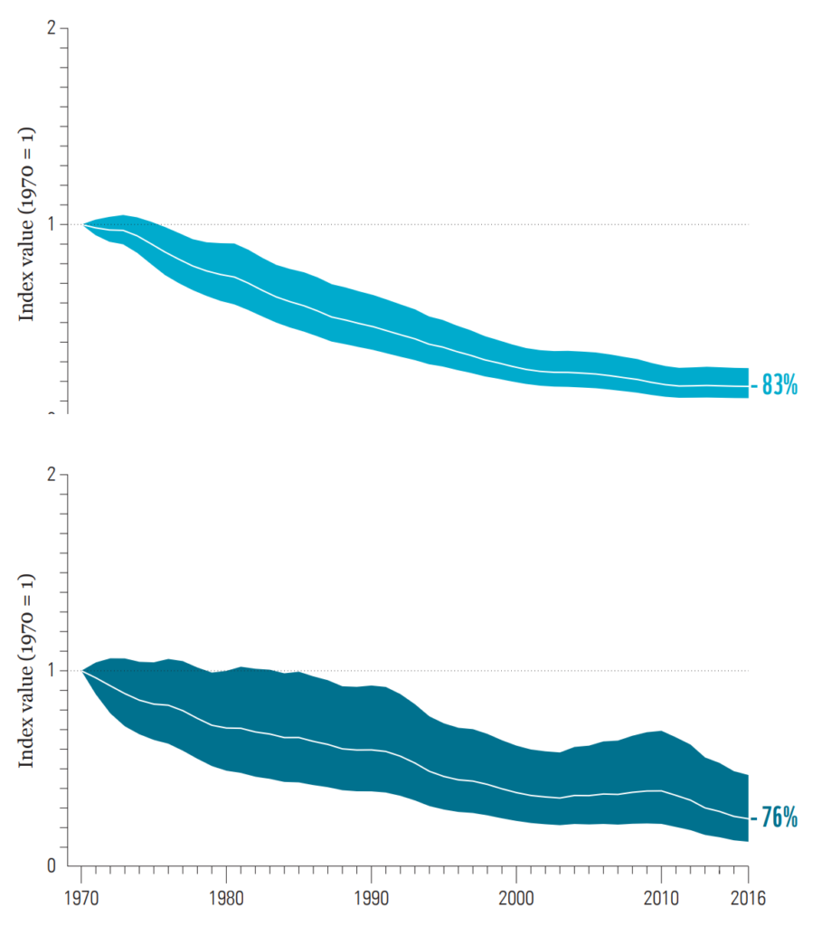 WWF’s Living Planet Report 2022 Reveals Devastating 69 Percent Average ...