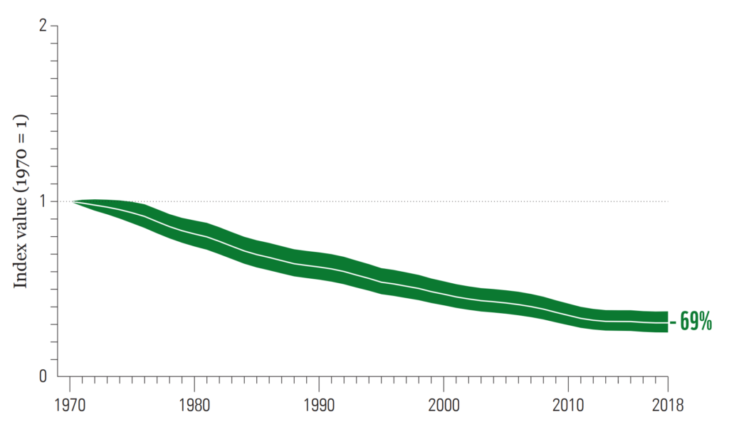 Wwfs Living Planet Report 2022 Reveals Devastating 69 Percent Average