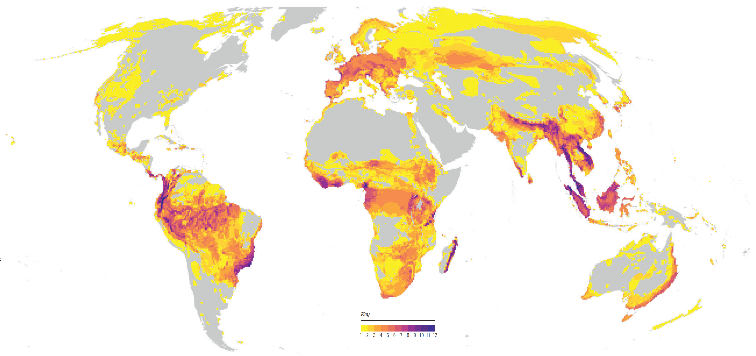 Map showing global hotspots of extinction risk in 2022. The relative importance of each pixel across species and threats as measured by the number of times a pixel falls into a hotspot region for any taxon or threat. Hotspot regions are defined as locations containing the highest 10 percent of numbers of species at risk from each major threat and taxonomic group. Source: Harfoot, et al., 2022. Graphic: WWF / ZSL