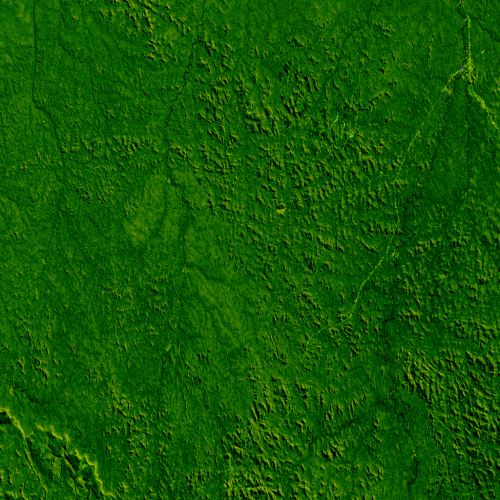 Satellite view of deforestation in Rondônia state, Brazil, 1975-2001. Data gathered by several satellites in the Landsat series of spacecraft shows enormous tracts of forest disappearing in Rondonia, Brazil from 1975 through 2001. The human phenomenon of deforestation starts, especially in the dense tropical forests of Brazil, when systematic cutting of a road opens new territory to potential deforestation by penetrating into new areas. Clearing of vegetation along the sides of those roads then tends to fan out to create a pattern akin to a fish skeleton. As new paths appear in the woods, more areas become vulnerable. Finally, the spaces between the “skeletal bones” fall to defoliation. Photo: Joycelyn Thomson / Horace Mitchell / Darrel Williams / NASA / GSFC