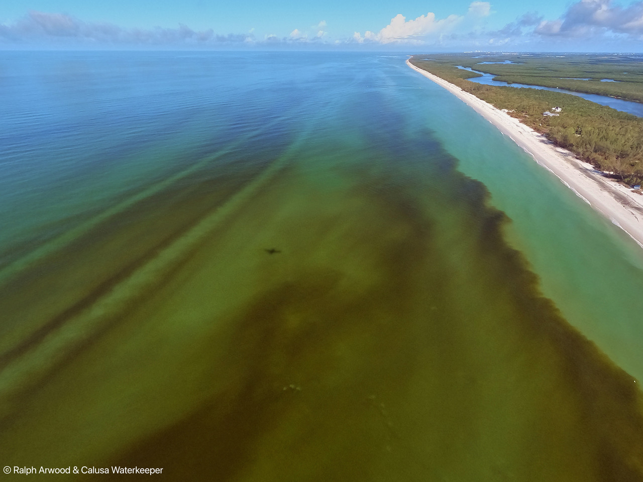 Aerial view of apparent red tide and other phytoplankton species in the water near Naples and Sanibel, Florida on 13 November 2022. According to the Florida Fish and Wildlife Conservation Commission, beaches from Sarasota to Port Charlotte varied between low, medium, and high levels of red tide. Because Hurricane Ian brought so much rain to Florida in September, scientists on the coast closely monitored water quality to see if the storm had any impacts. Photo: Ralph Arwood / Calusa Waterkeeper