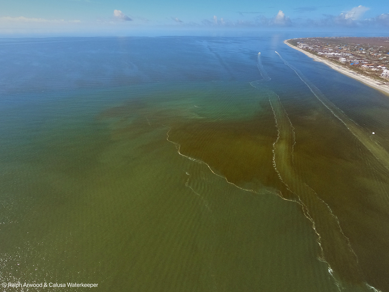 Aerial view of apparent red tide and other phytoplankton species in the water near Naples and Sanibel, Florida on 13 November 2022. According to the Florida Fish and Wildlife Conservation Commission, beaches from Sarasota to Port Charlotte varied between low, medium, and high levels of red tide. Because Hurricane Ian brought so much rain to Florida in September, scientists on the coast closely monitored water quality to see if the storm had any impacts. Photo: Ralph Arwood / Calusa Waterkeeper