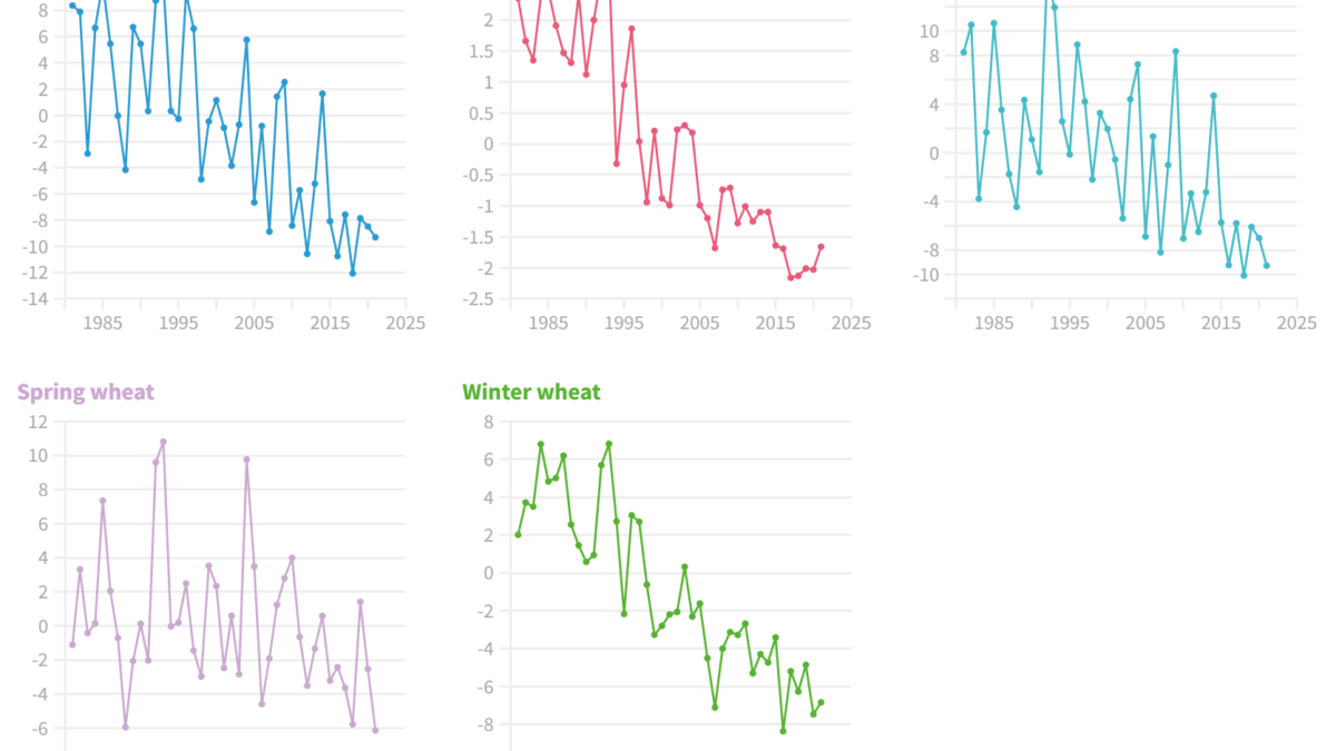 Absolute change in days of crop growth duration, 1981-2021, compared to a 1981-2010 baseline, globally and by WHO region. Maize, rice, soybean, spring wheat, and winter wheat are shown. Relative to 1981-2010, higher temperatures in 2021 shortened crop growth seasons globally by 9.3 days for maize, 1.7 days for rice and 6 days for winter and spring wheat, and heatwave days in 2020 were associated with 98 million more people reporting moderate to severe food insecurity. Graphic: The Lancet