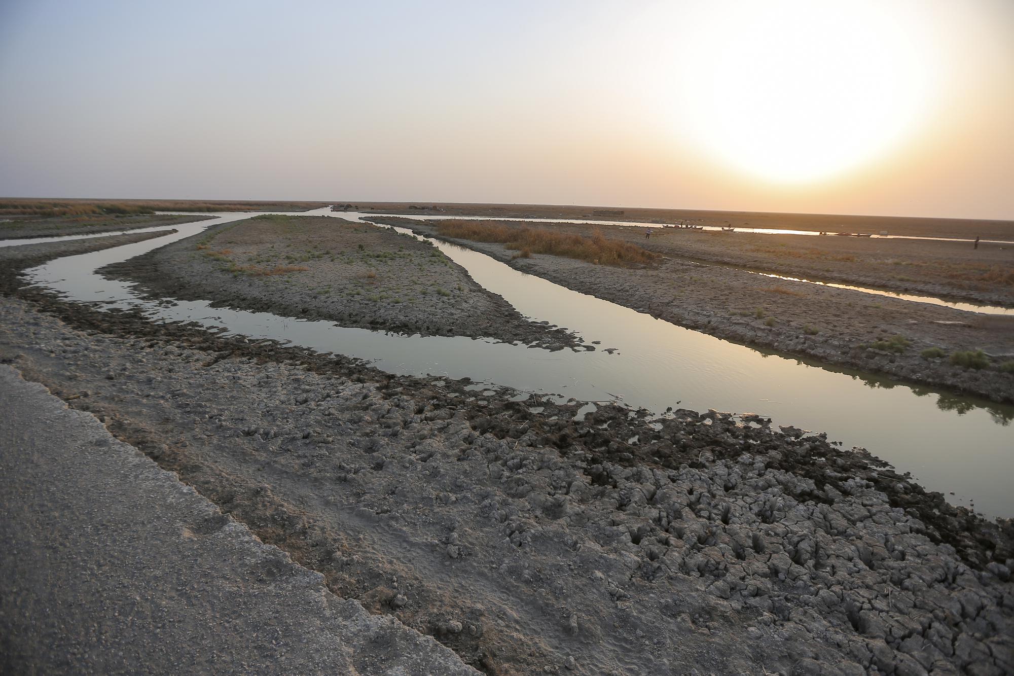 Water levels in the Chibayish marshes of southern Iraq are declining and fishermen say certain waterways are no longer accessible by boat, in Dhi Qar province, Iraq, Friday 2 September 2022. The Tigris-Euphrates River flows have fallen by 40 percent the past four decades as the states along its length - Turkey, Syria, Iran and Iraq pursue rapid, unilateral development of the waters' use. Photo: Anmal Khalil / AP Photo