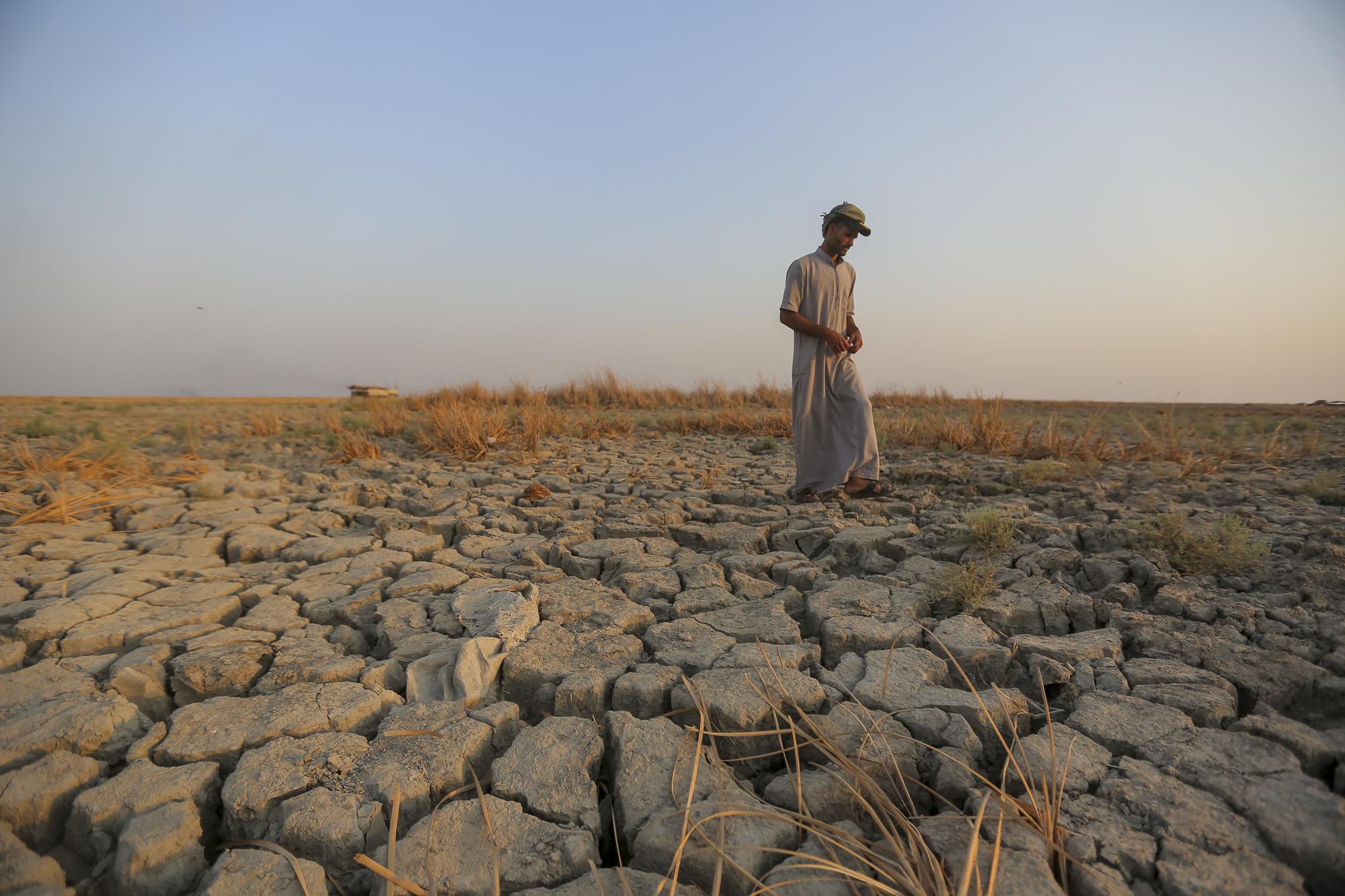 A fisherman walks across a dry patch of land in the marshes of southern Iraq which has suffered dire consequences from back-to-back drought and rising salinity levels, in Dhi Qar province, Iraq, Friday, 2 September 2022. Photo: Anmar Khalil / AP Photo