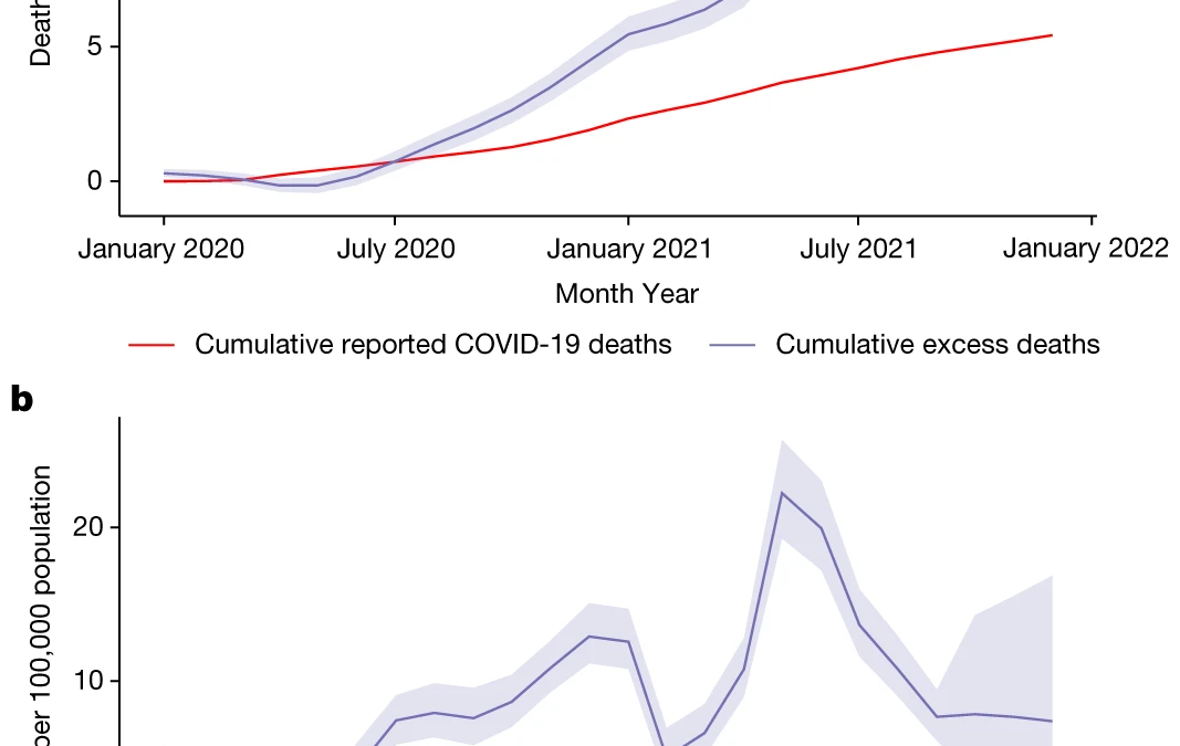 Global excess and reported COVID-19 deaths and death rates per 100,000 population, January 2020-January 2022. (a) Cumulative global excess death estimates and the cumulative reported COVID-19 deaths by month from January 2020 to December 2021. (b) Global excess death rates per 100,000 population and the reported COVID-19 death rates per 100,000 population, also by month, from January 2020 to December 2021. On both plots, the central lines of the excess mortality series show the mean estimates, and the shaded regions indicate the 95 percent uncertainty intervals. Graphic: Msemburi, et al., 2022 / Nature