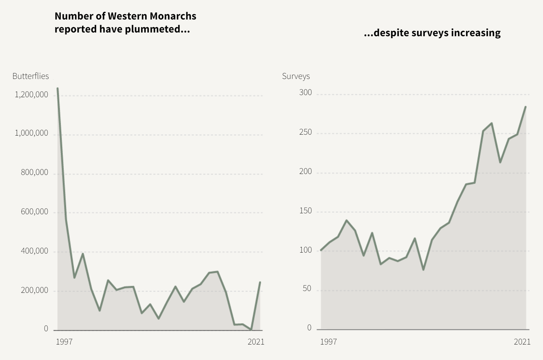 Number of Western Monarch butterflies (left) and butterfly surveys (right), 1997-2021. In the western United States, the number of individual butterflies has been steadily decreasing over the past four decades, at a rate of around 1.6% every year, according to a March 2021 study in the journal Science. The iconic Monarch butterfly is one of the species in trouble. Warmer autumn temperatures, an effect of climate change, may be interfering with the butterflies’ hibernation-like period known as diapause. So rather than slowing down ahead of winter, the insects are staying awake longer, expending more energy, and eventually starving to death. In July 2022, the migratory monarch was added to the IUCN’s global endangered species list. Graphic: Catherine Tai / Reuters