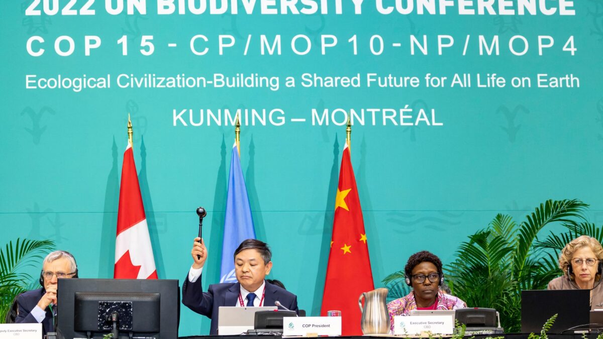 The leadership of the U.N.-backed COP15 biodiversity conference applaud after passing the Kunming-Montreal Global Biodiversity Framework in Montreal, Quebec, Canada, 19 December 2022. Photo: Julian Haber / UN Biodiversity / REUTERS