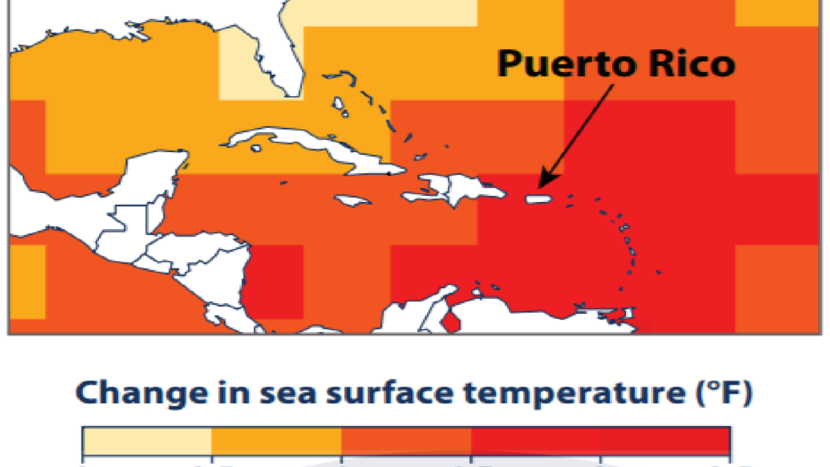 Rising sea surface temperatures in the Caribbean Sea since 1901. The waters around Puerto Rico have warmed by heat two degrees Fahrenheit. Data: EPA Climate Change Indicators in the United States. Graphic: EPA