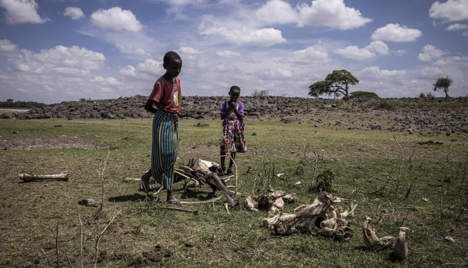 Children from a Maasai community look at the remains of an elephant that died in the drought on community land near the outskirts of Amboseli National Park on 18 December 2022 in Amboseli, Kenya. Photo: Ed Ram / Getty Images Europe / AFP