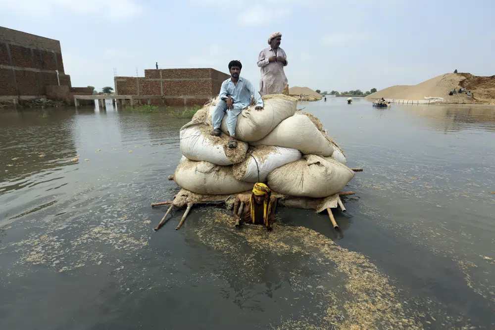 Flood victims from monsoon rain use a makeshift barge to carry hay for cattle, in Jaffarabad, a district of Pakistan’s southwestern Baluchistan province, on 5 September 2022. Photo: Fareed Khan / AP Photo
